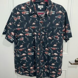 Sonoma flamingo button up